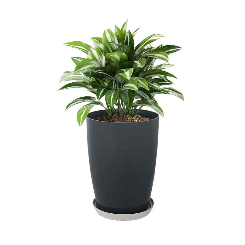 Kuber Industries 14 Inch Plain Tower Flower Pot with Plate for Home & Garden | Grey