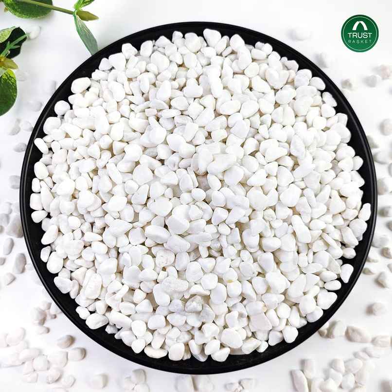 Trustbasket White Pebble Chips (Small) - 1 Kg