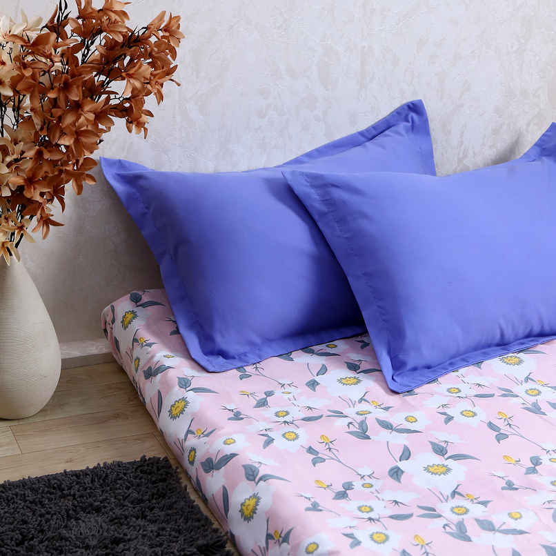 Status Pillow Cover Set Of 2 46 Cm x 69 Cm - Sky Blue Status Pillow Cover Set Of 2 46 Cm x 69 Cm - Sky Blue