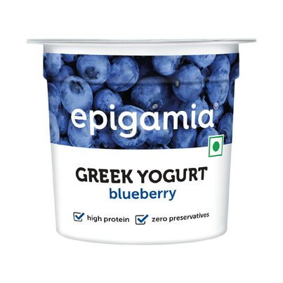 Epigamia Greek Yogurt Blueberry