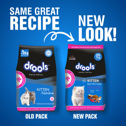 Drools Ocean Fish Kitten Cat Food (3 kg+1 kg Food Free Inside)