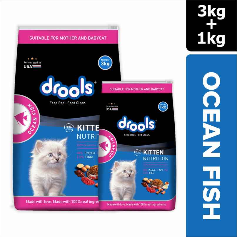 Drools Ocean Fish Kitten Cat Food (3 kg+1 kg Food Free Inside)