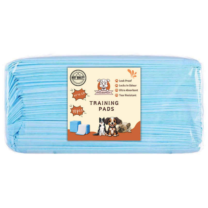 Poodlemart Pet Training Pad