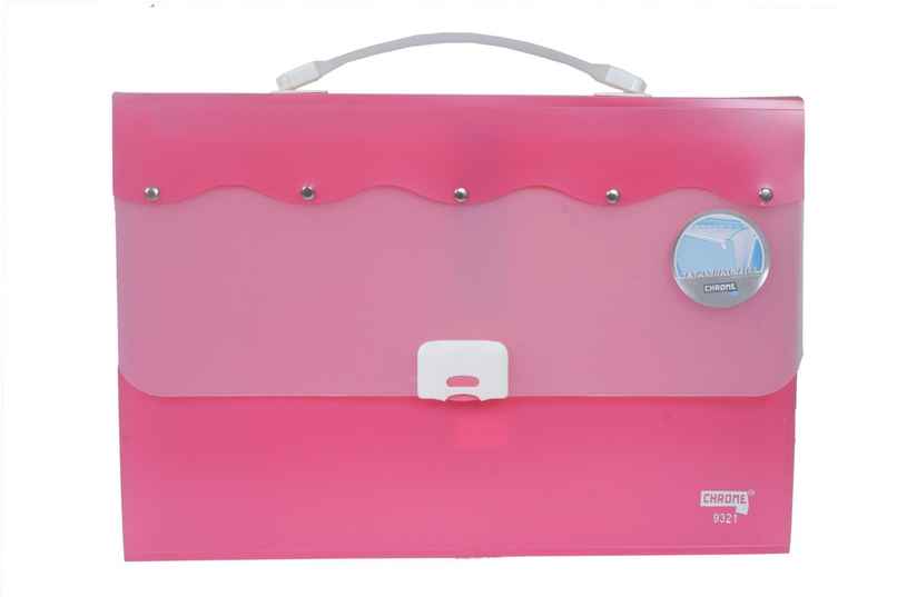 Chrome Expanding File Bag (Colour May Vary)