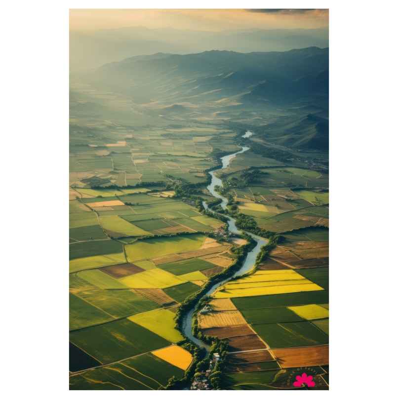 House of Festivals | Posters | Design 68