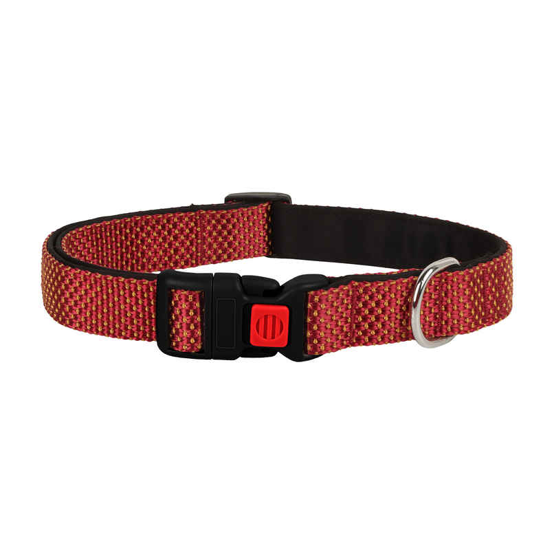 BearHugs Essential Collar | Padded with Lock - Large BearHugs Essential Collar | Padded with Lock - Large