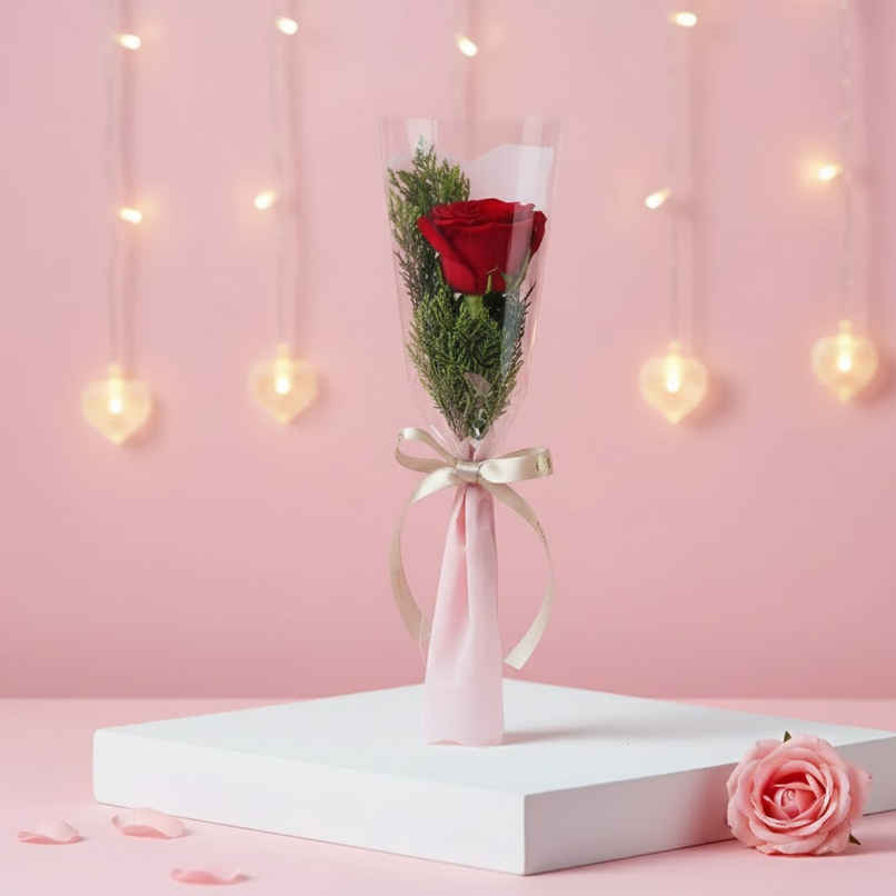 FNP Blush Romance Single Red Rose