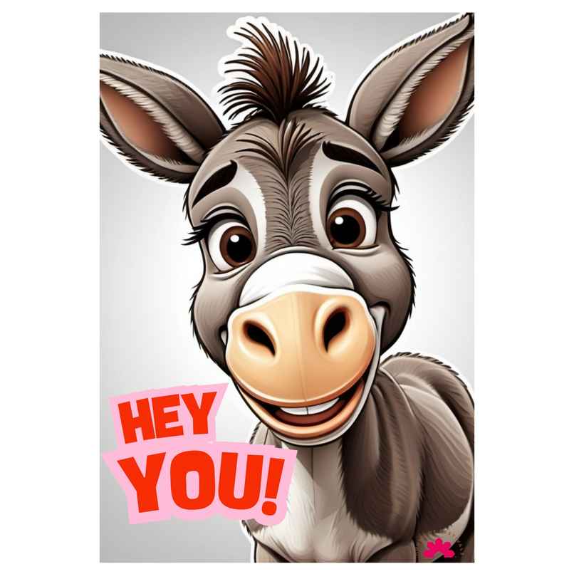 House of Festivals | Posters | Design 61