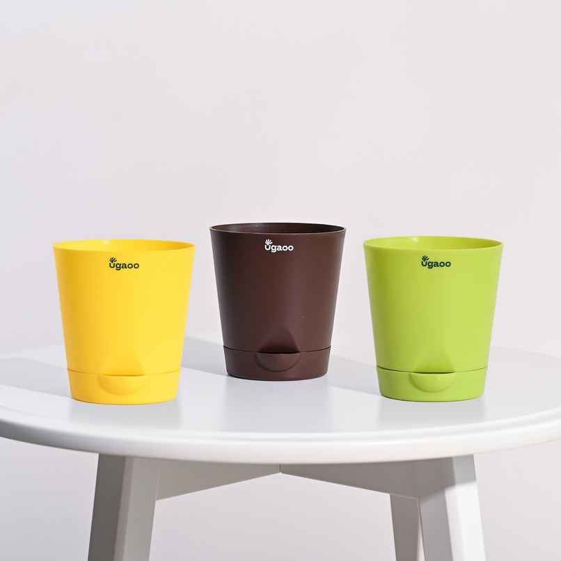 Ugaoo Krish Self Watering Round Pots - 4 Inch | Set of 3 | Green, Yellow, Brown Ugaoo Krish Self Watering Round Pots - 4 Inch | Set of 3 | Green, Yellow, Brown