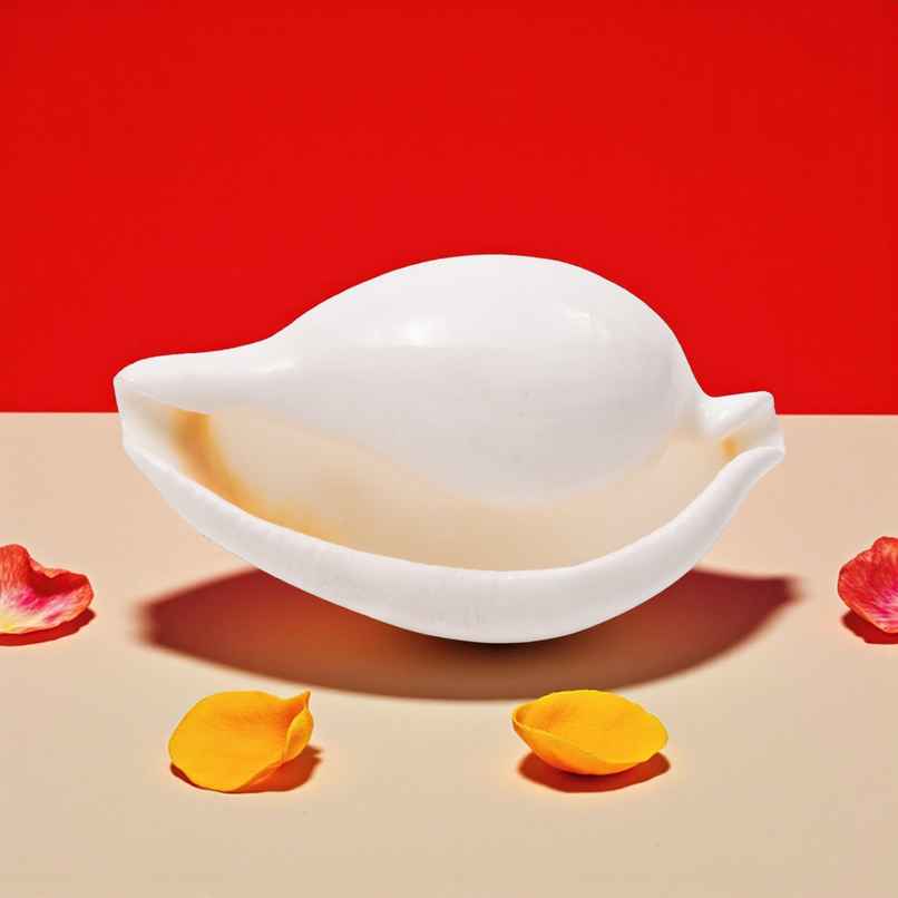 Budh Shankh | Attracts Prosperity & Success | No Carving | Pujashree