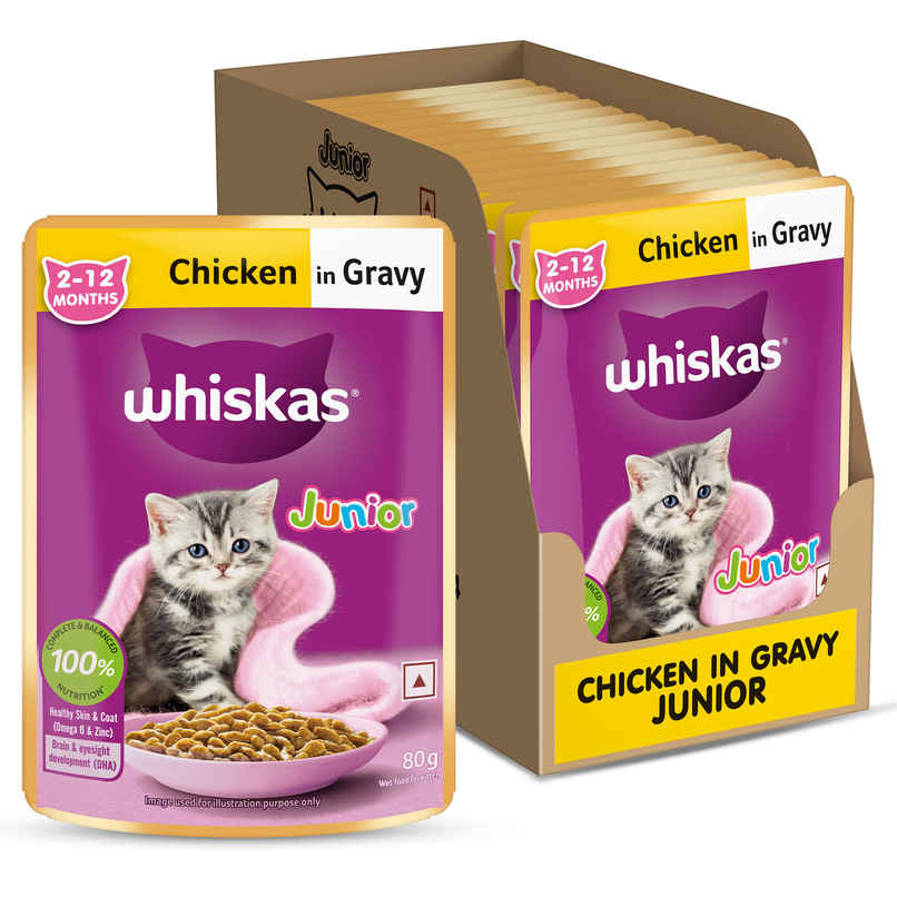 Whiskas Junior Chicken in Gravy Wet Cat Food Whiskas Junior Chicken in Gravy Wet Cat Food