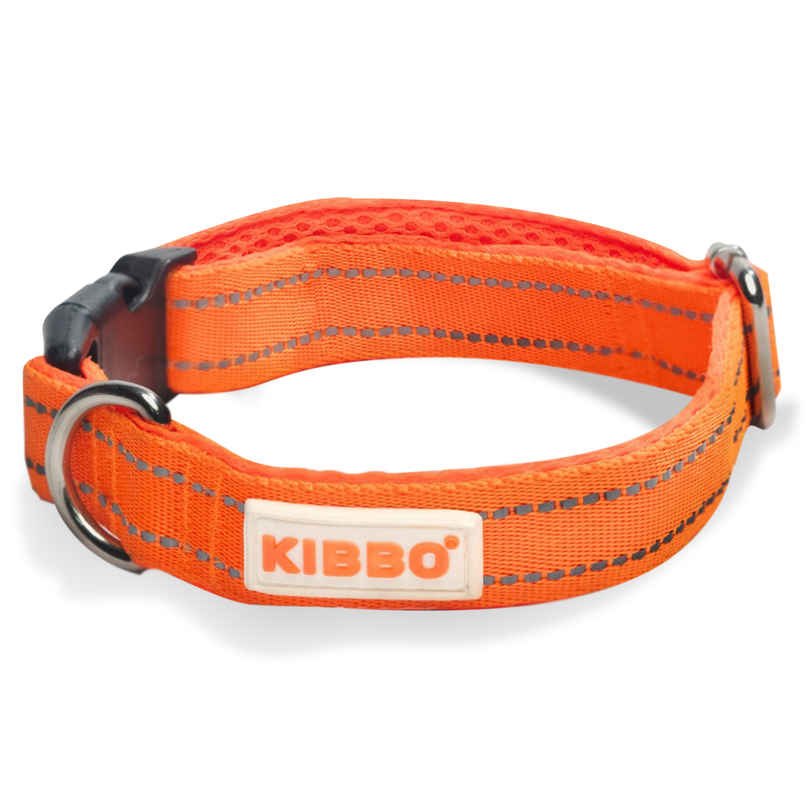 KIBBO Padded Reflective & Adjustable Dog Collar | Orange - Medium