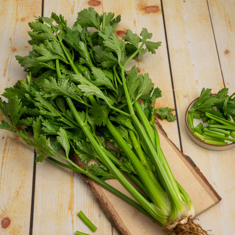 Celery