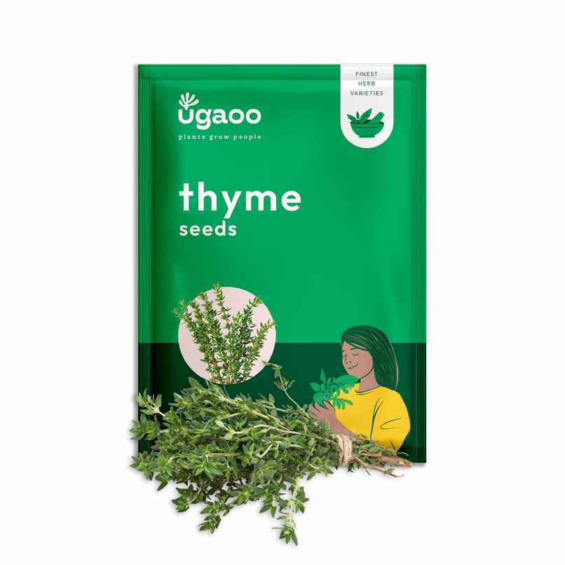 Ugaoo Thyme Seeds Ugaoo Thyme Seeds