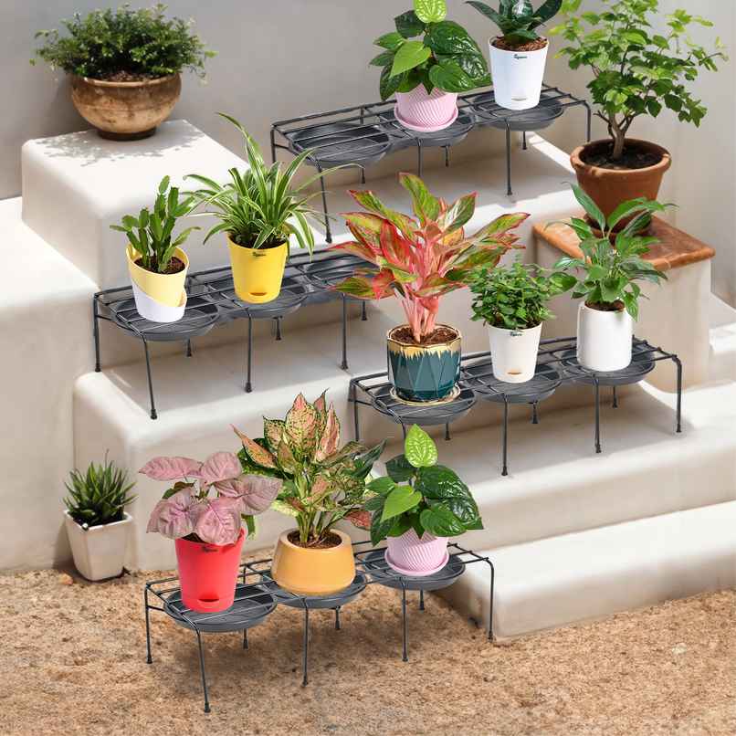 Ugaoo Driplock Black Plant Stand - Set Of 4 Ugaoo Driplock Black Plant Stand - Set Of 4