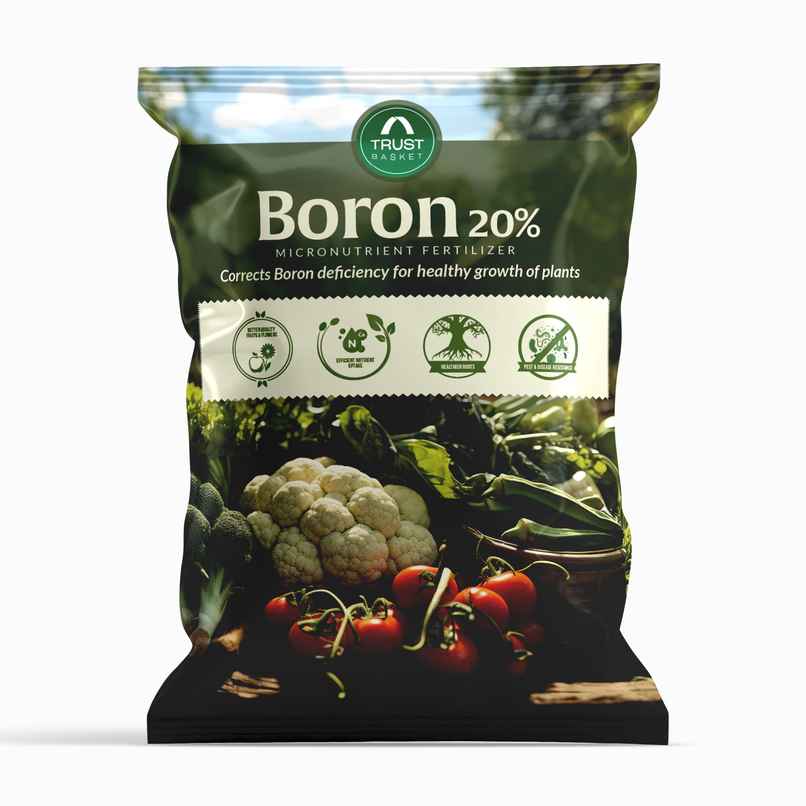 TrustBasket Boron Fertilizer | 20% Boron Water-Soluble Mix for Growth & Flowering TrustBasket Boron Fertilizer | 20% Boron Water-Soluble Mix for Growth & Flowering