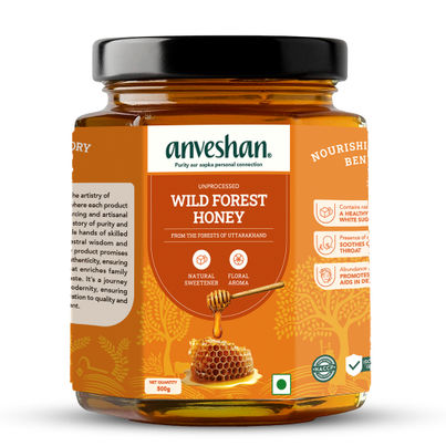 Anveshan Raw Wild Forest Honey