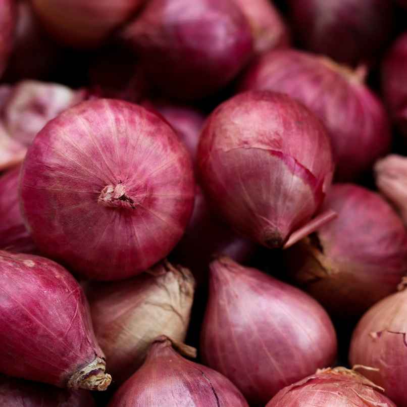 Organic Onion