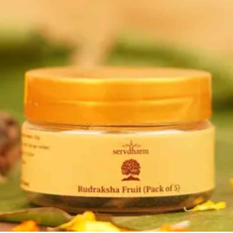 Servdharm Rudraksha Fruit - Pack Of 5