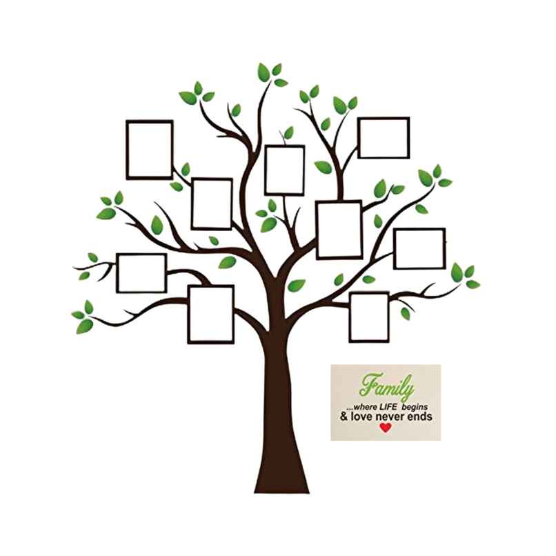 BAY6 Family Tree Removable Sticker - 110cm - | Pack Of 1