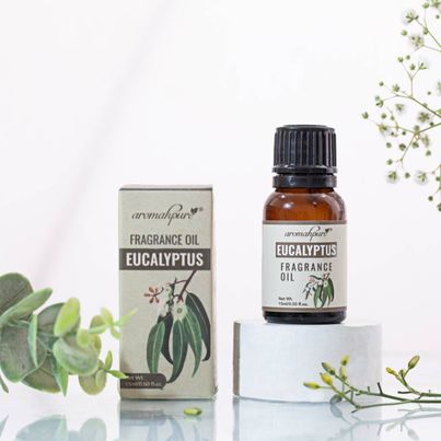 Aromahpure Fragrance Oil | Eucalyptus Aroma Oil for Home Fragrance