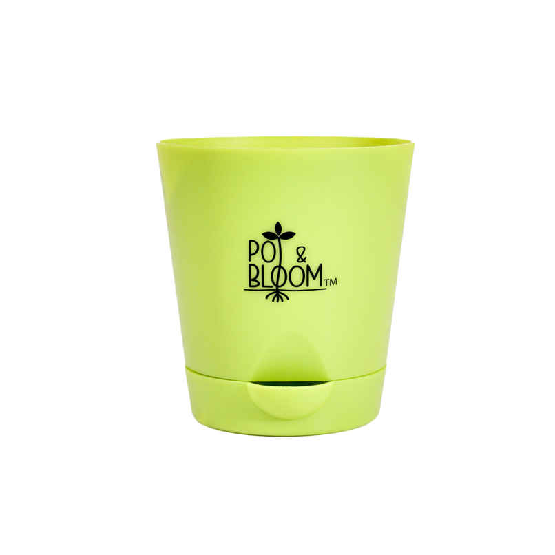 Pot And Bloom 4 Inch Self Watering Pot - Green Pot And Bloom 4 Inch Self Watering Pot - Green