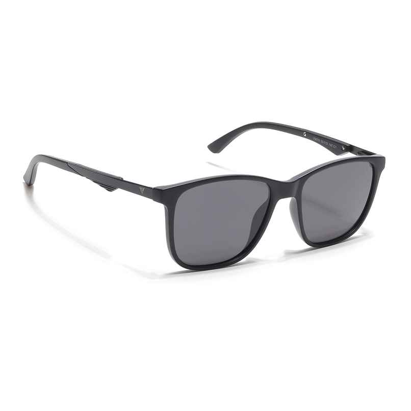 Plastic Wayfarer Sunglasses