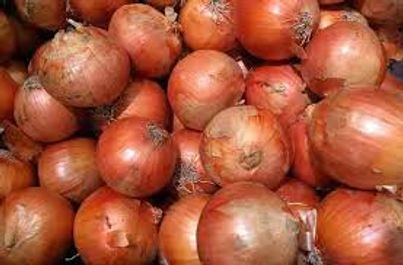 Organic Onion
