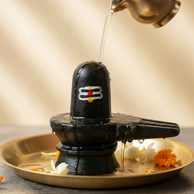 Shivling Stone Idol for Puja and Rituals Natural Black Stone Compact Size 75 cm H 8 cm W | Cycle