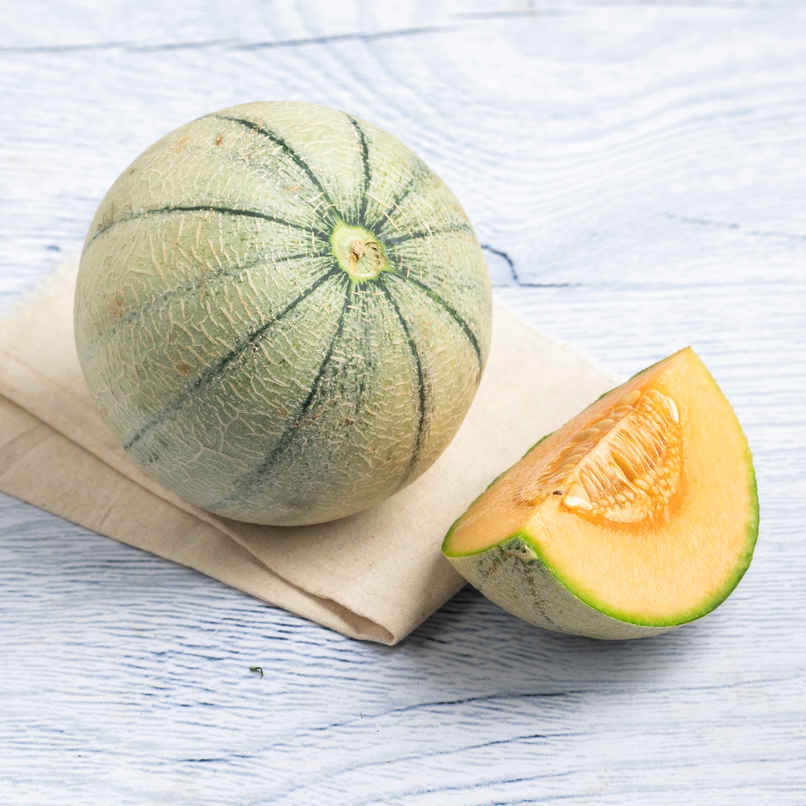 Muskmelon Striped Semi Ripe