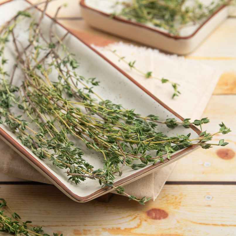 Thyme