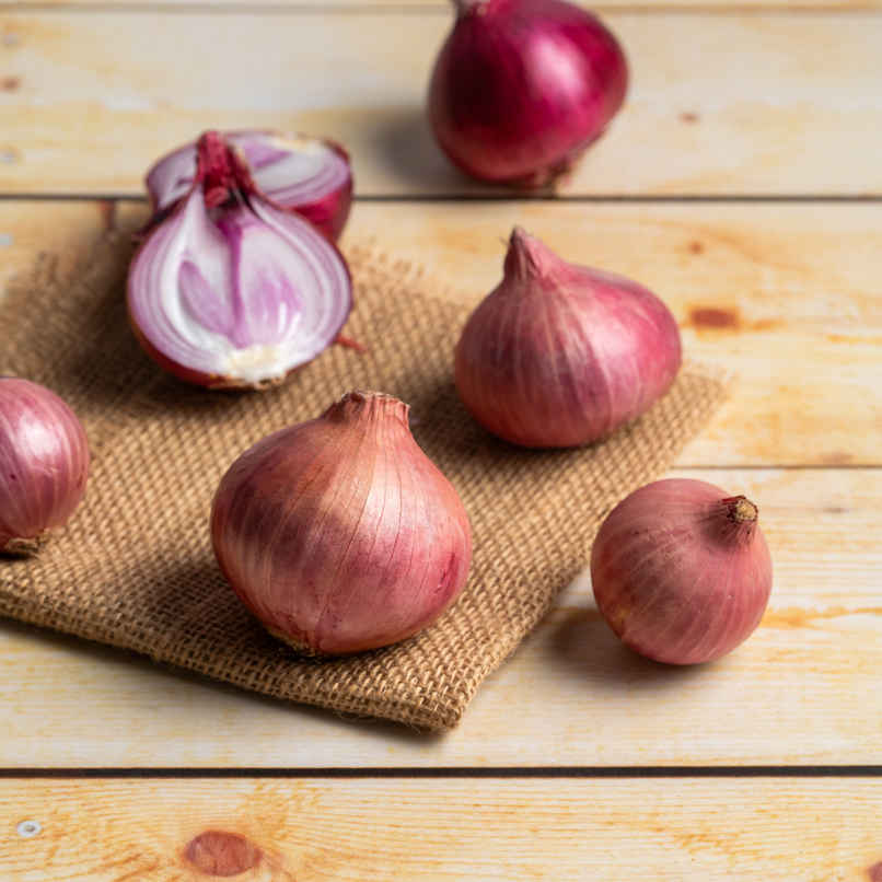 Organically Grown Onion