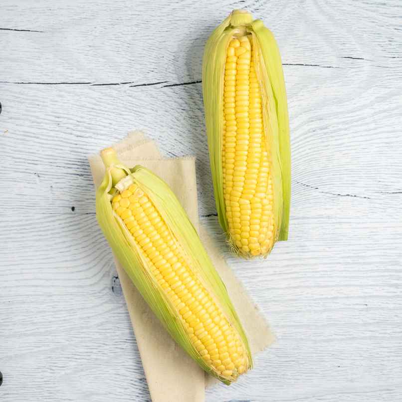Sweet Corn