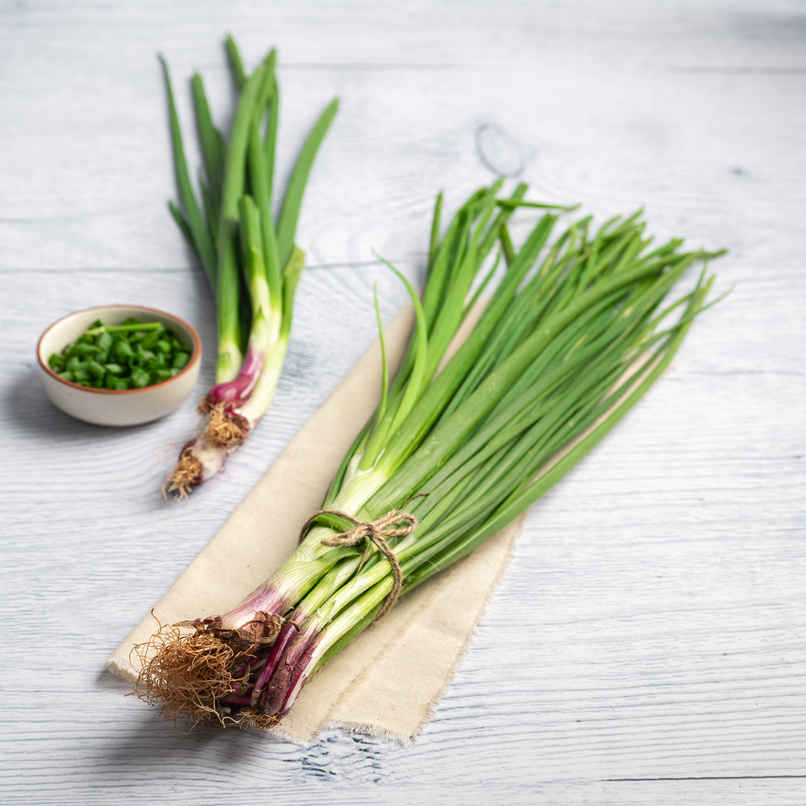 Spring Onion Spring Onion