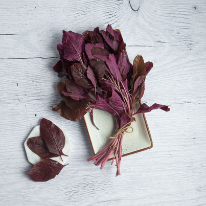 Amaranthus Red