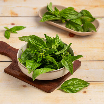 Basil Leaves
