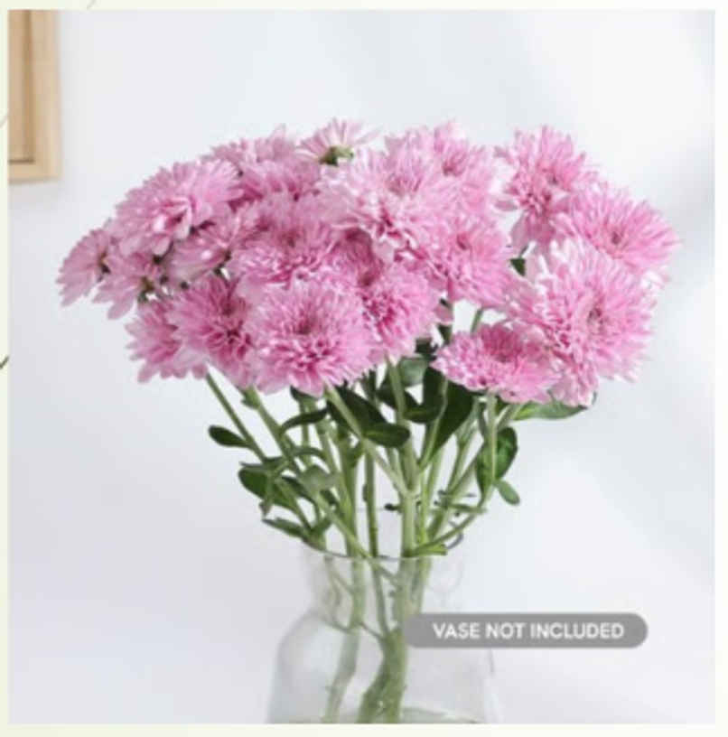 FlowerAura Purple Daisy Twin Stems