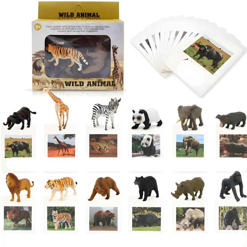 TurtleBee Jungle Animals