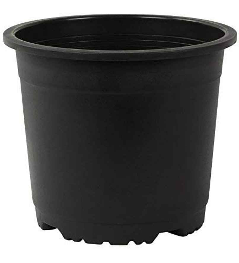 Leafy Tales Plastic Pots, Black 4 Inch Size 15 Piece, Small