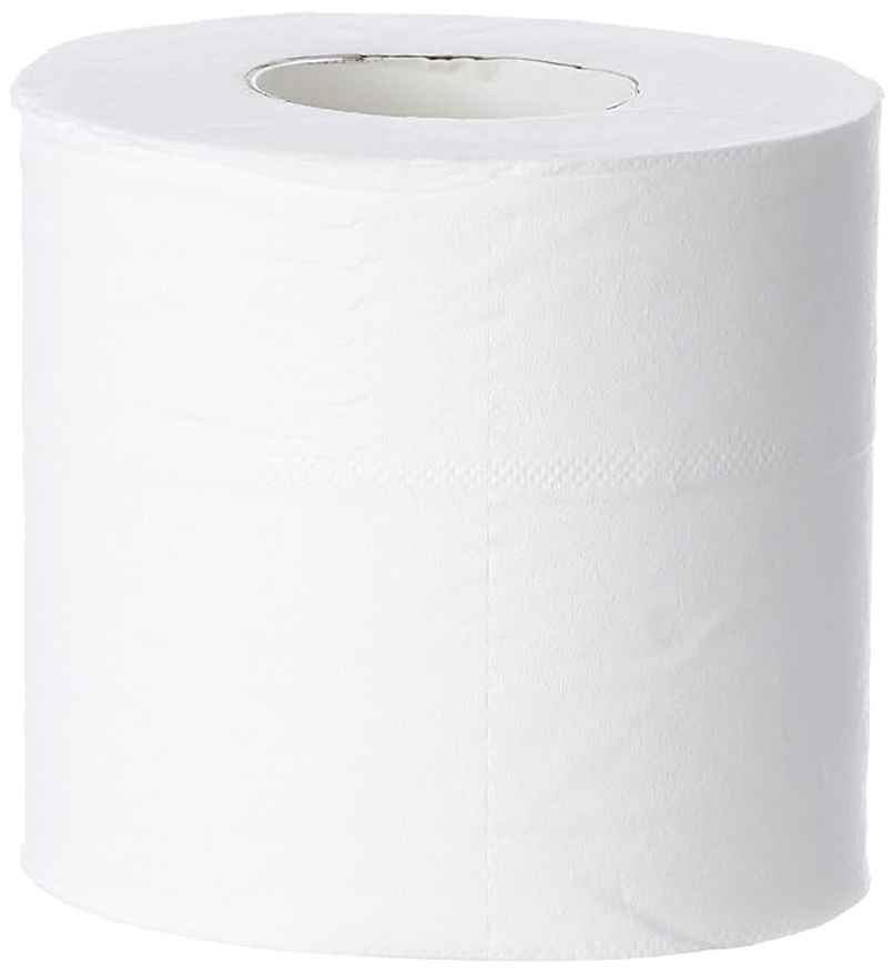 Tempware Toilet Rolls 6Pcs 110*110Mm