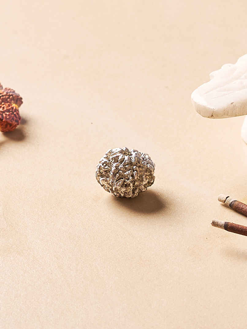 Pure Mercury Rudraksha Bead for Spiritual Use | Svasti Pure Mercury Rudraksha Bead for Spiritual Use | Svasti