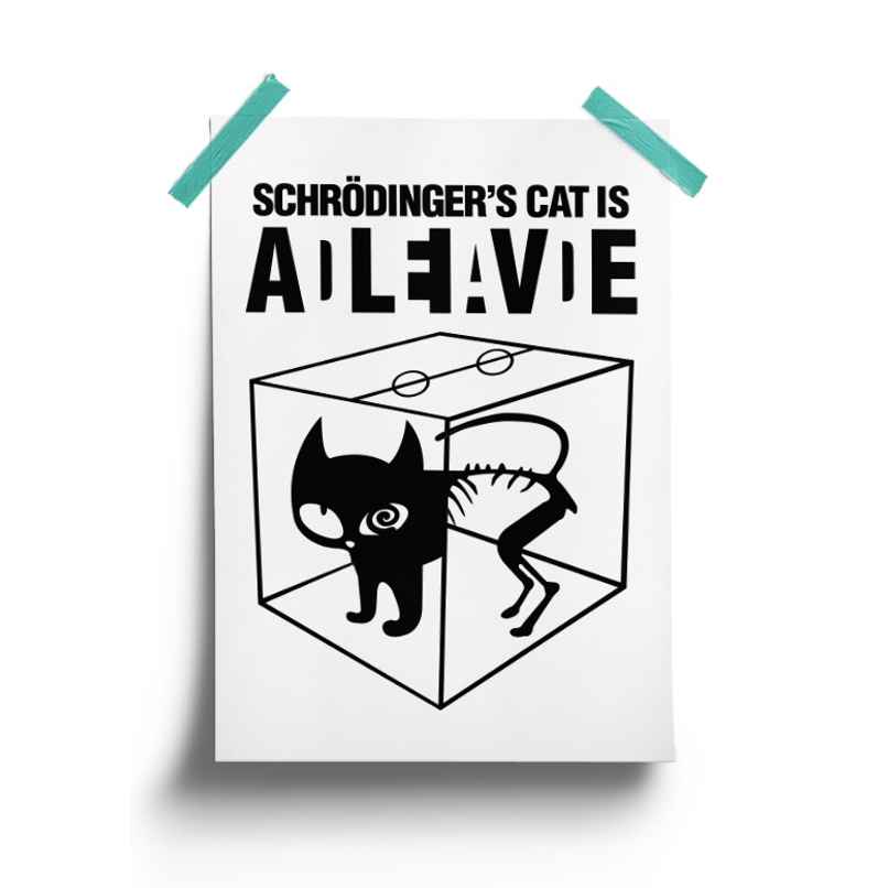 House Of Festivals Schrodinger'S Cat - Poster House Of Festivals Schrodinger'S Cat - Poster
