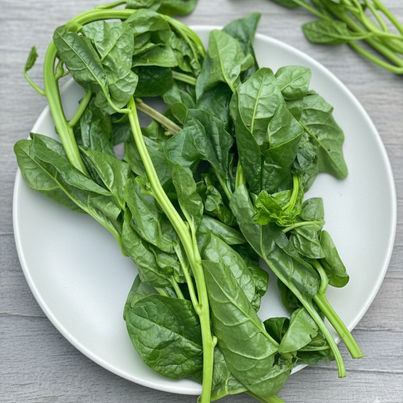 Malabar Spinach