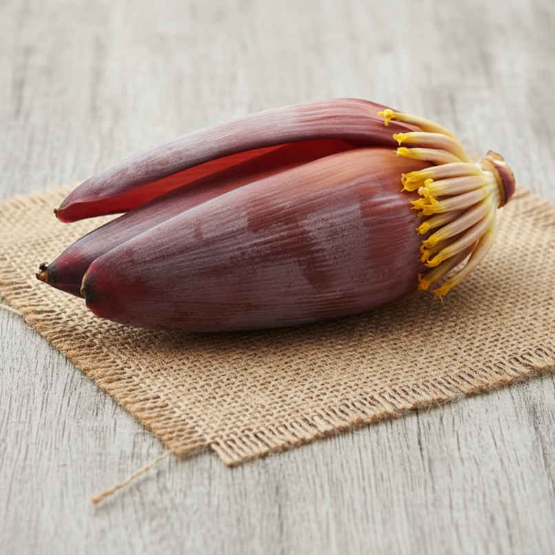 Banana Flower Banana Flower