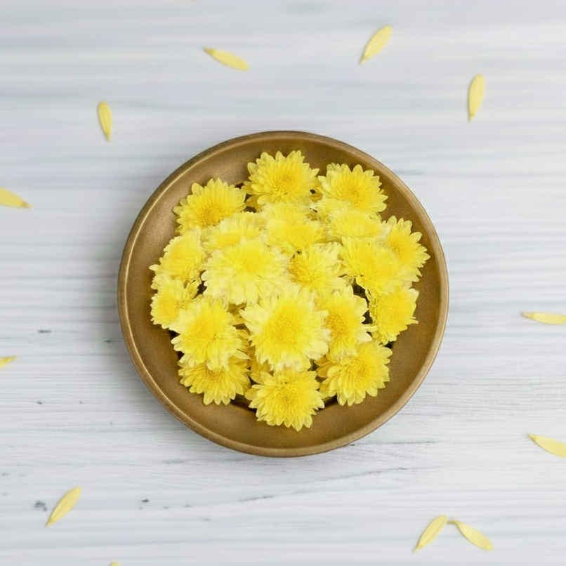 Chrysanthemum Yellow Combo
