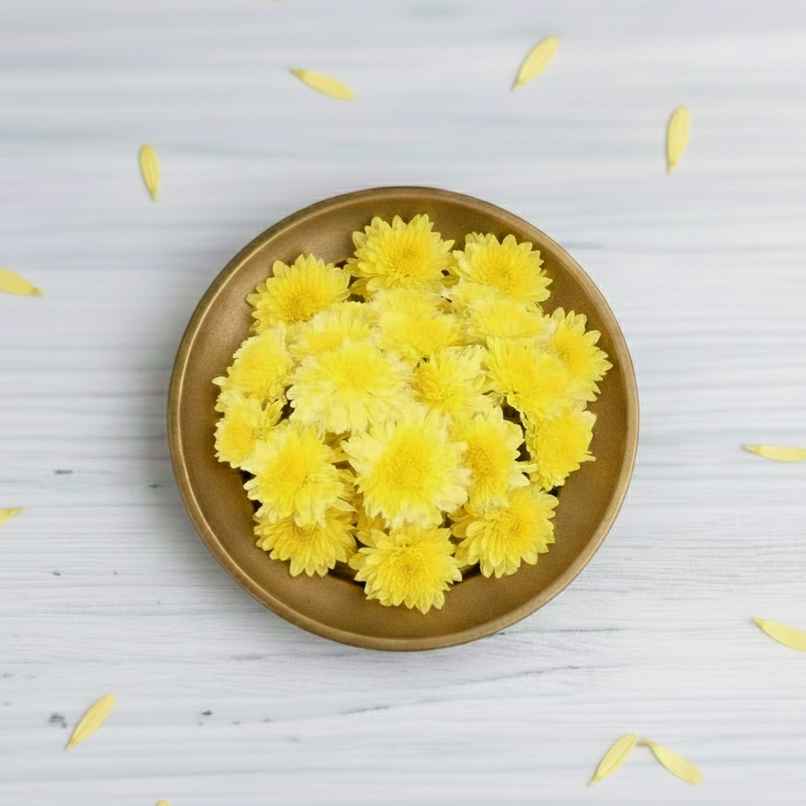 Chrysanthemum Flower Yellow