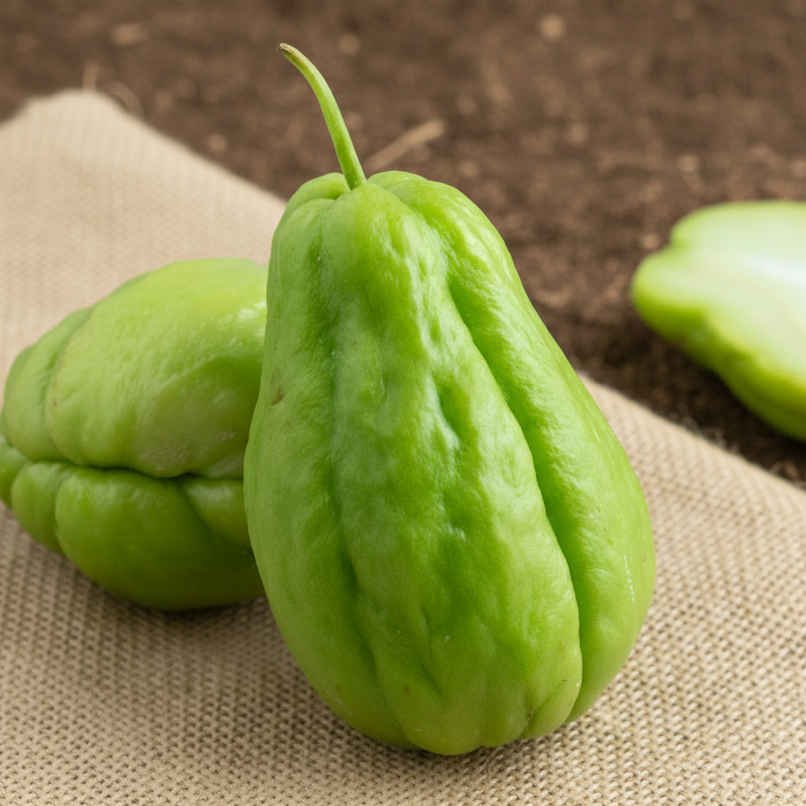 Organically Grown Chow Chow