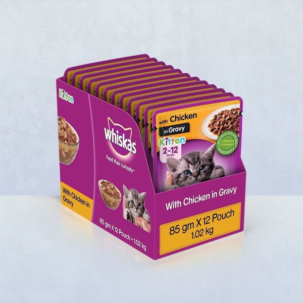 Whiskas Kitten Chicken In Gravy Wet Cat Food Buy online at ₹484 near me