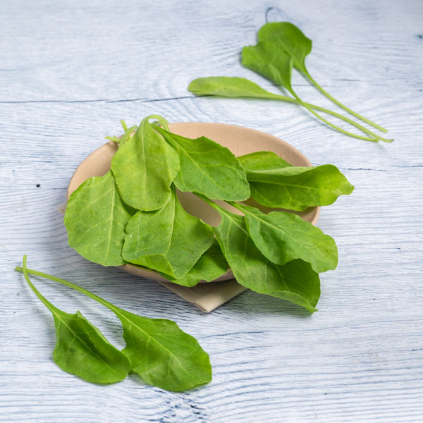 Spinach - Cleaned, without roots 250 g - Buy online at ₹23 near me