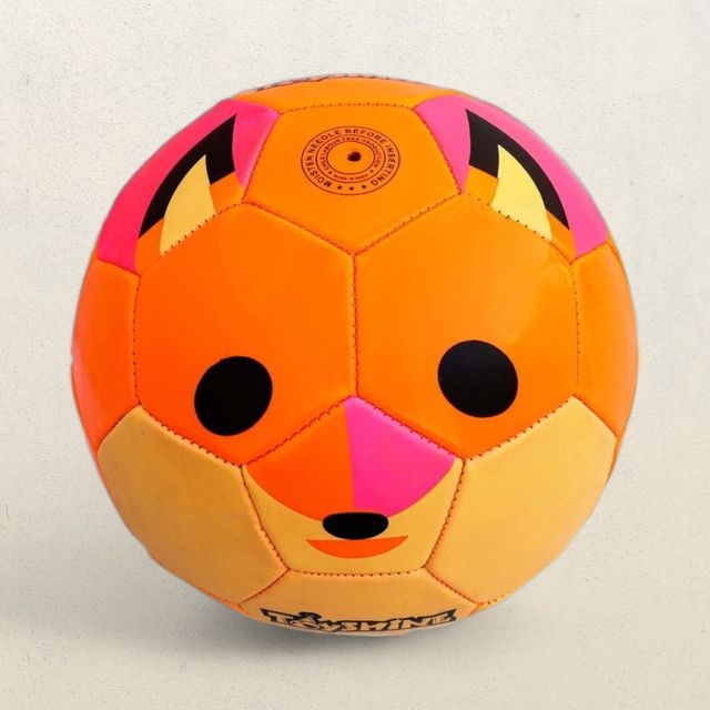 Toyshine EduSports Kids Football Soccer Educational Toy Ball Size 3 (4